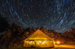 Daisy Bell Tent at Belan Bluebell Woods